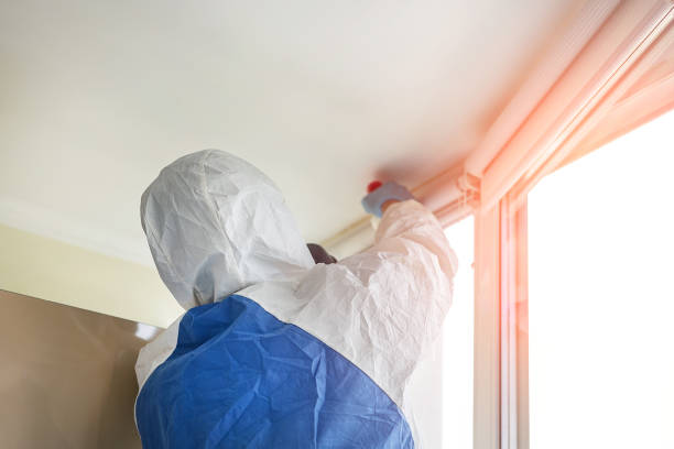 Reliable Grandview Heights, OH Mold Removal Services Solutions